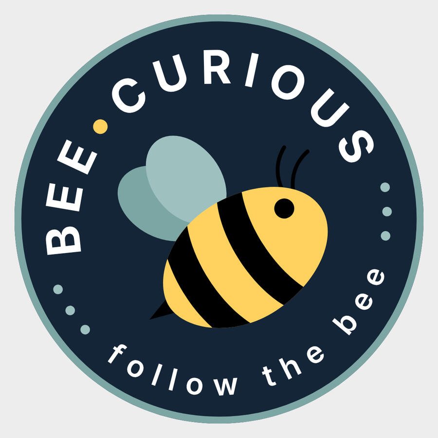 Bee • Curious Bee • Curious