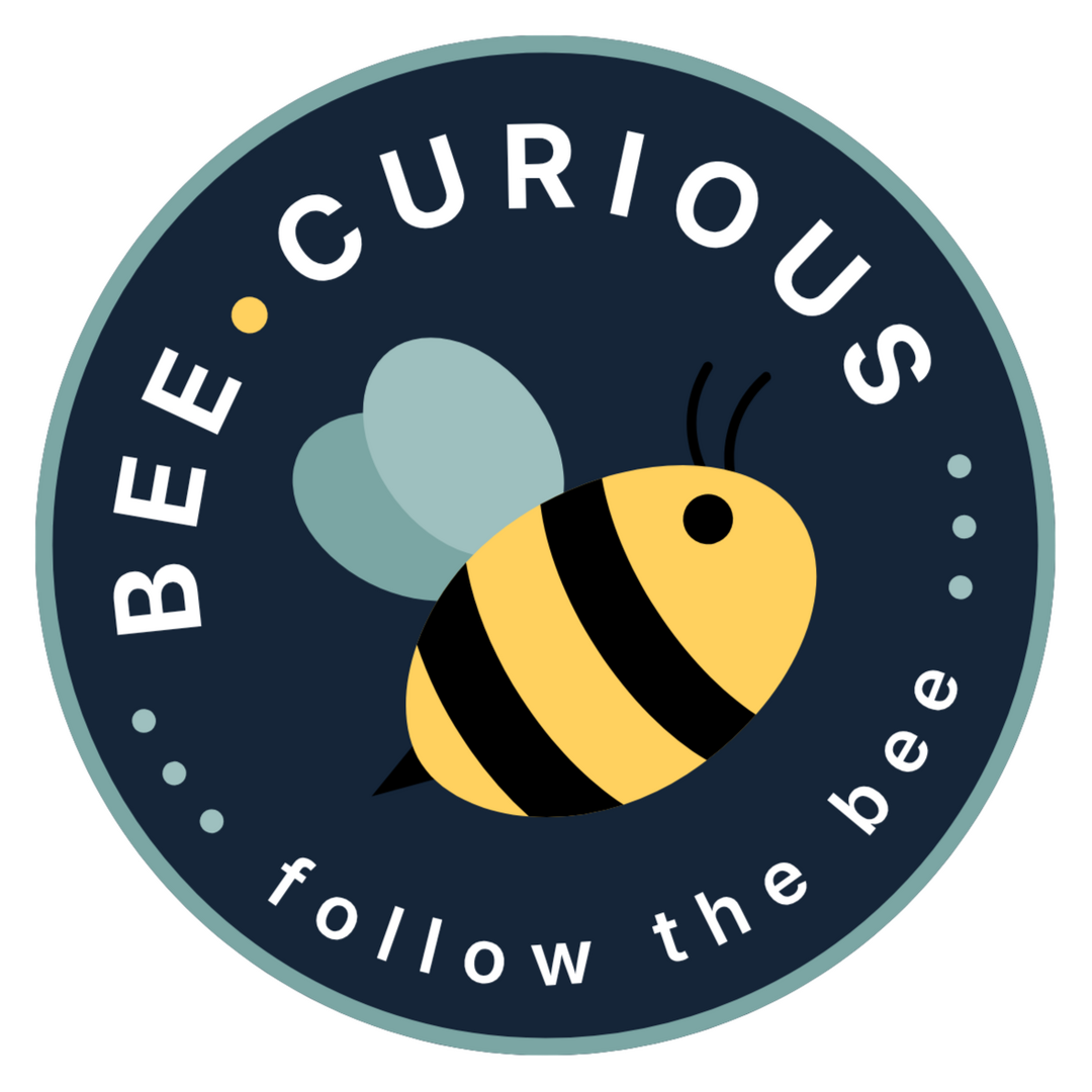 Bee • Curious Bee • Curious